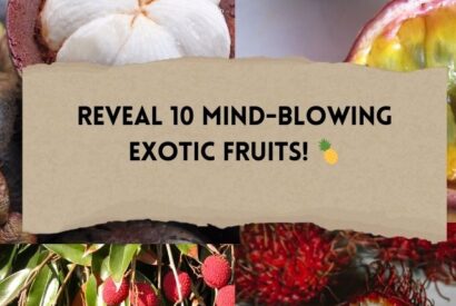 Thumbnail for 10 Exotic Fruits You Have to Taste to Believe