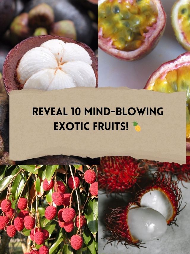 10 Exotic Fruits You Have to Taste to Believe