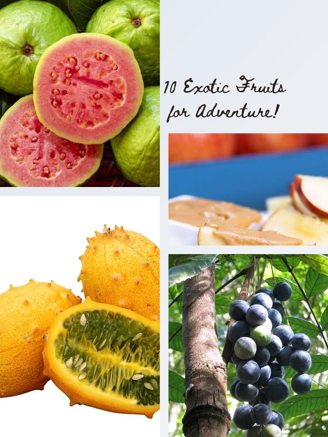 10 Exotic Fruits to Try for an Adventurous Palate